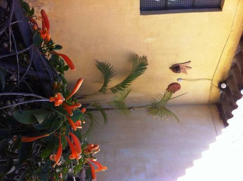 Albergue El Viejo Danes Hostal Antigua Guatemala