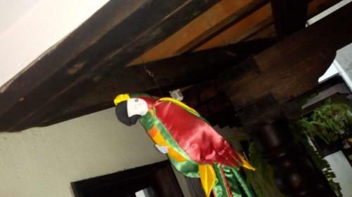 Hostal Hotel Dionisio
