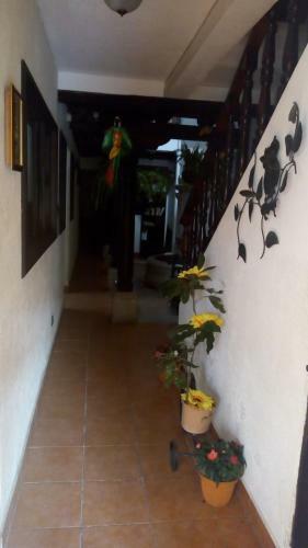 Hostal Hotel Dionisio