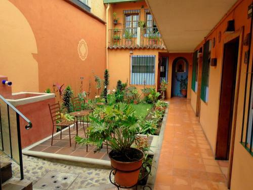 Posada Juma Ocag