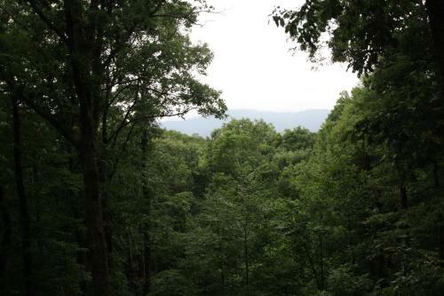 Mountain Memories