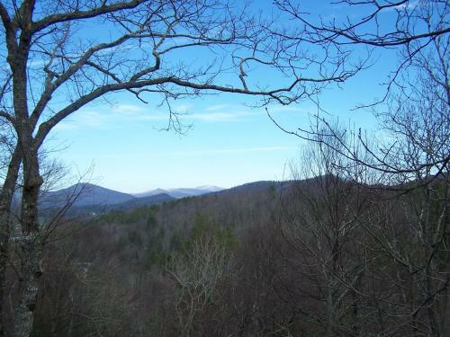 Blue Vista