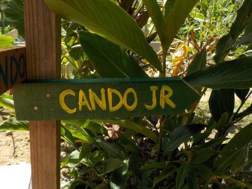 Roatan Backpackers' Hostel