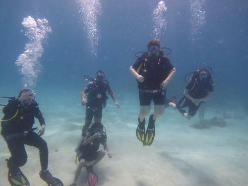 Hotel Bananarama Dive & Beach Resort