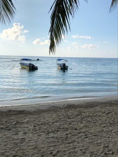 Hotel Bananarama Dive & Beach Resort