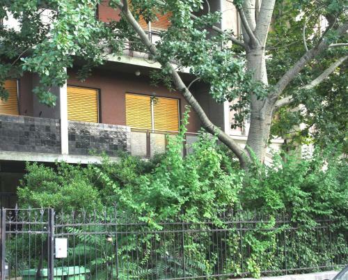 Andr�ssy Apartment