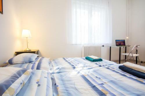 Andr�ssy Apartment