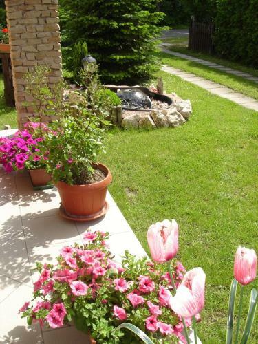 Apartamentos Villa M�nika