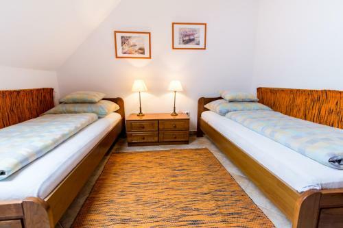 Hostal Frisk� Panzi�
