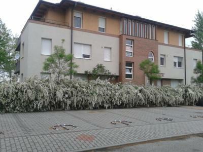 Anita Apartment