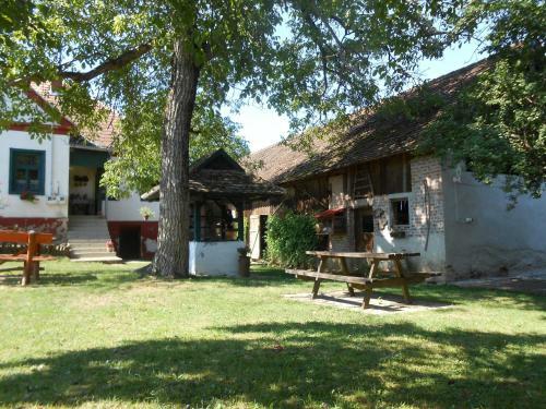 Hostal Velem�ri Vend�gh�z