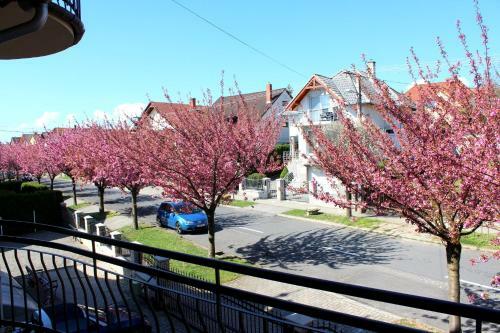 Apartamento Anett Villa