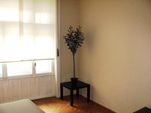Premier Central Apartment