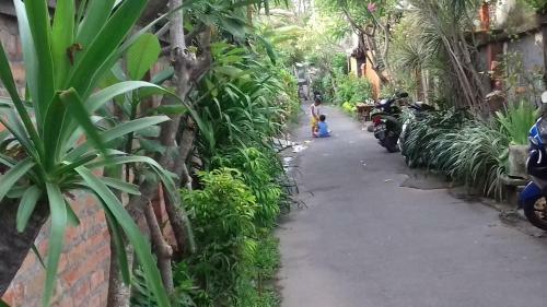 Tjana Homestay