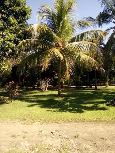 Hostal Puspa Rama Pondok Wisata
