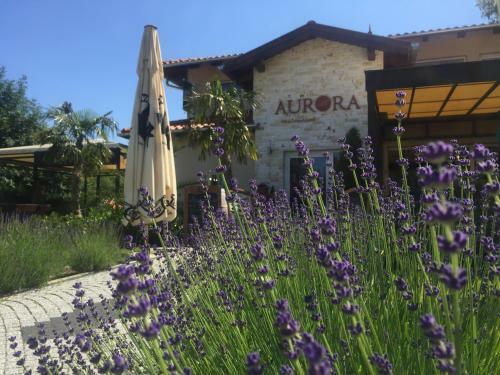 Bed & Breakfast Aurora Panzi�