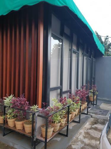 Hotel Lavender Guest House