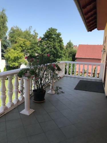 Hostal Hermina Vend�gh�z