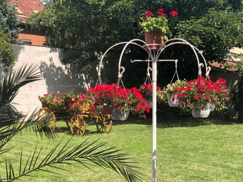 Hostal Hermina Vend�gh�z