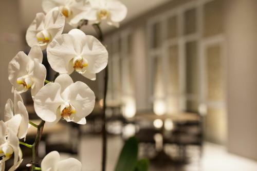 Hotel The Regia