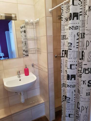 Hostal Vincze Villa Vend�gh�z
