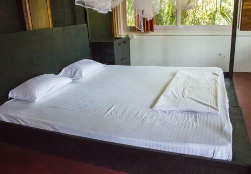 Dreams Hostel