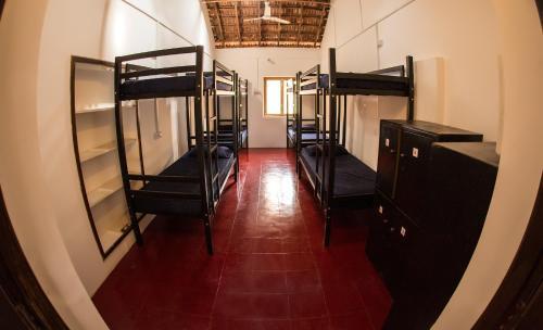 Dreams Hostel