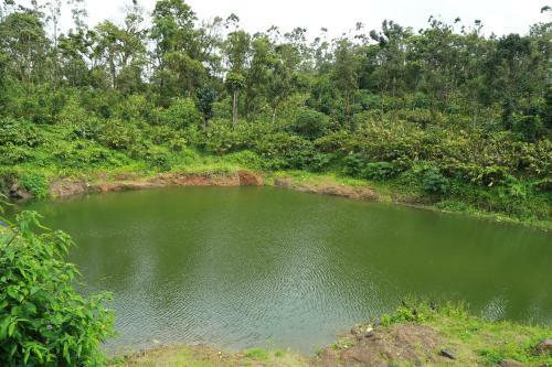 Agroturismo Tabernacle Plantation Thekkady