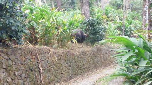 Agroturismo Tabernacle Plantation Thekkady