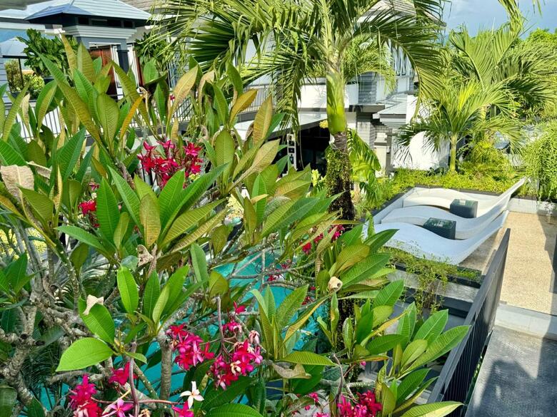 Bed & Breakfast Villa Rumah Putih Abu Abu