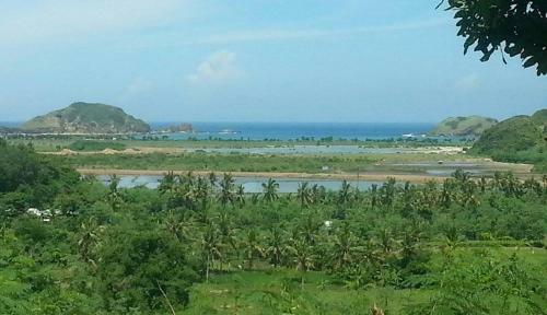 Hostal Lombok Hill Wiolett