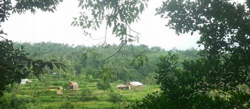 Hostal Lombok Hill Wiolett