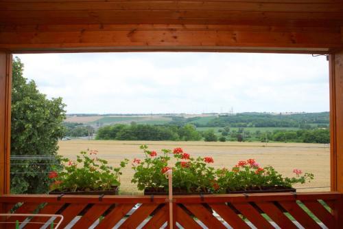 Hostal Viola House