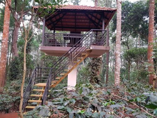 Honey Pot Homes