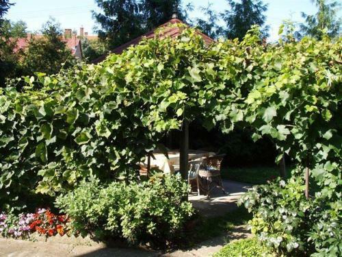 Apartamento Pall�si H�z "a"