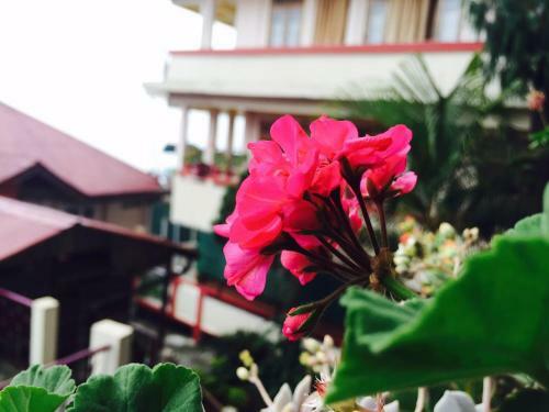 Deki Lodge