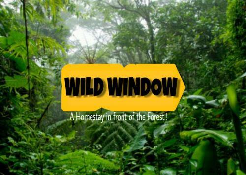 Wild Window