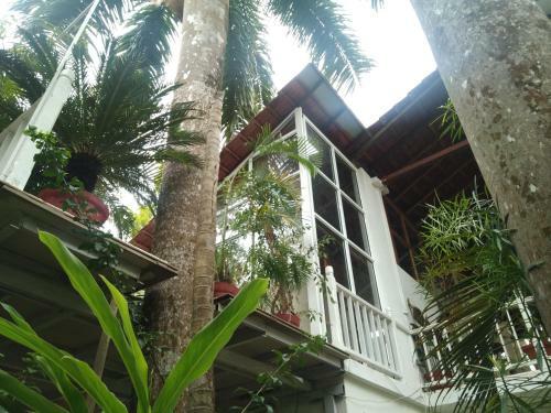 Bed & Breakfast Mich�le's Garden