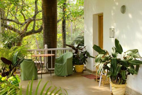Bed & Breakfast Mich�le's Garden