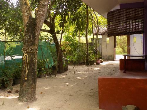 Marari Beach Harmony