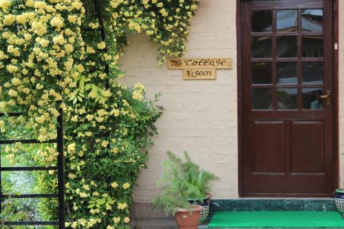 The Cottage Nigeen