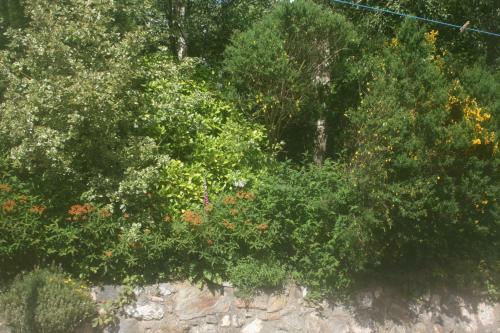 Bed & Breakfast Laragh Mountain View Lodge