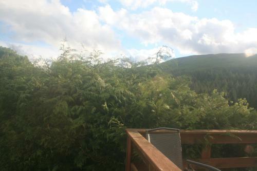 Bed & Breakfast Laragh Mountain View Lodge