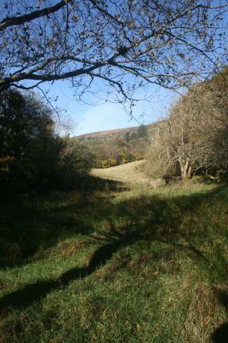 Bed & Breakfast Laragh Mountain View Lodge
