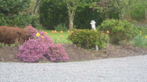 An Bruachan B&B
