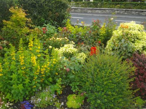 Bed & Breakfast Quay West Ireland