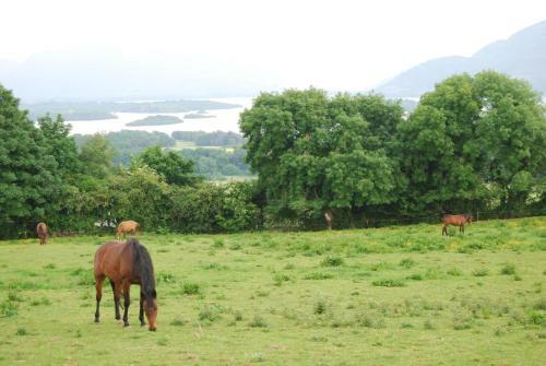 Old Killarney Cottages