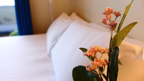 Snoozles Tourist Hostel