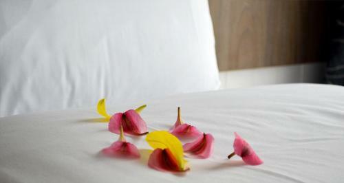 Hotel Slaney Suites