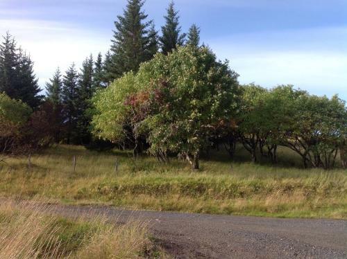 Katla House Secluded-remote Old Farm